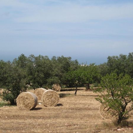 B&B Cinque Stalle Monopoli Bagian luar foto